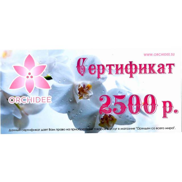Подарочный сертификат