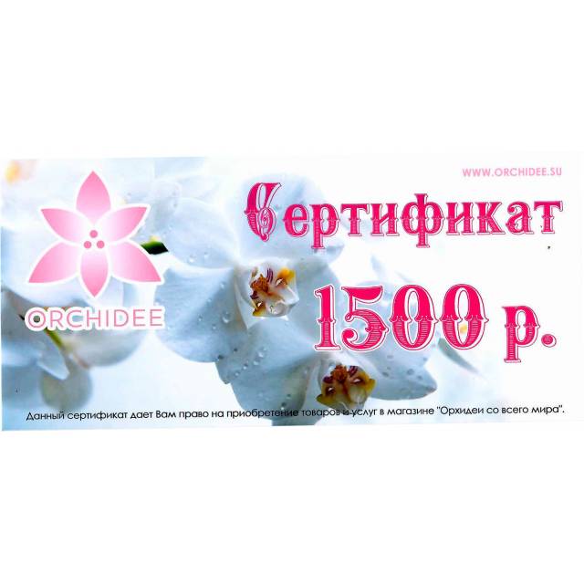 Подарочный сертификат