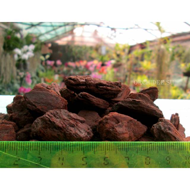 Кора сосны крупной фракции + (18-25 мм), 1 литр 